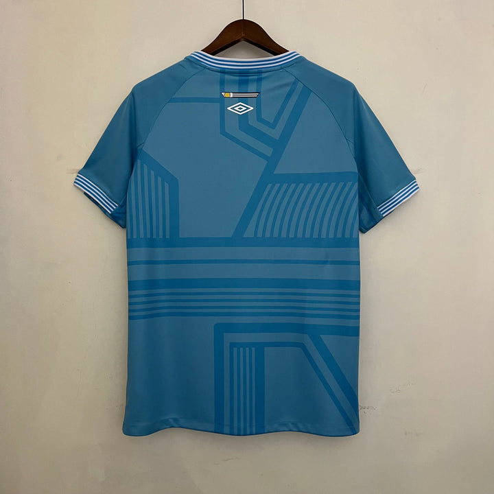 CAMISOLA GREMIO III 23/24